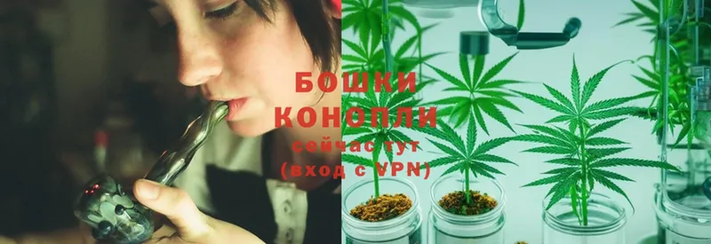 даркнет сайт  Семилуки  Бошки марихуана LSD WEED 